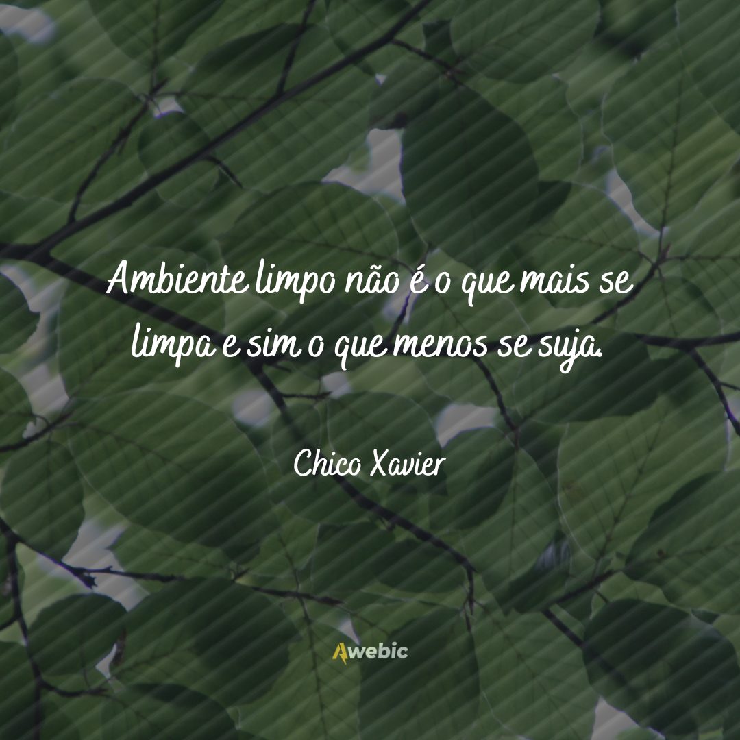 mensagens-de-luz-de-chico-xavier