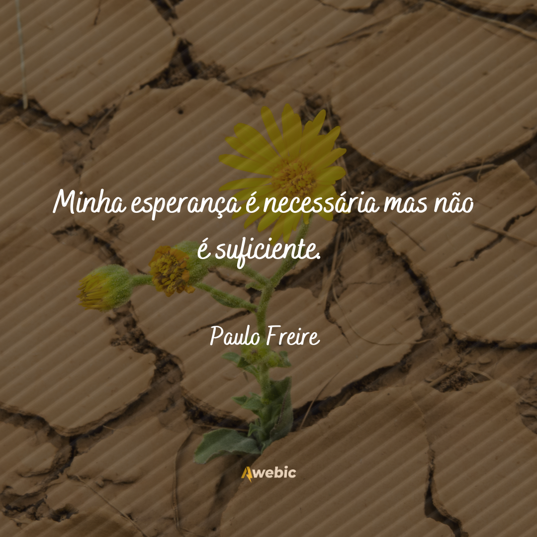 Frases de Paulo Freire sobre esperança: reflita aqui