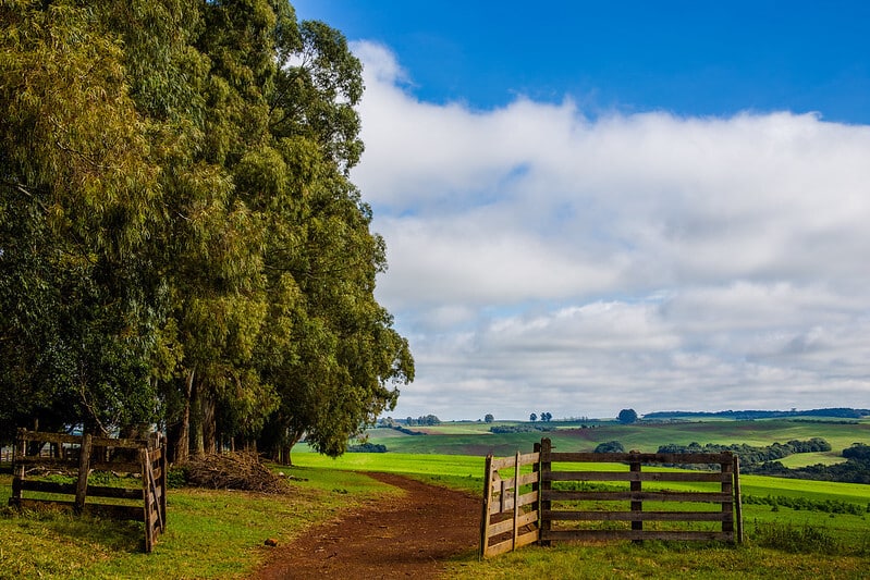 Crédito Rural: Como Funciona, Quem Tem Direito E Como Solicitar Em 2025 91 propriedade rural