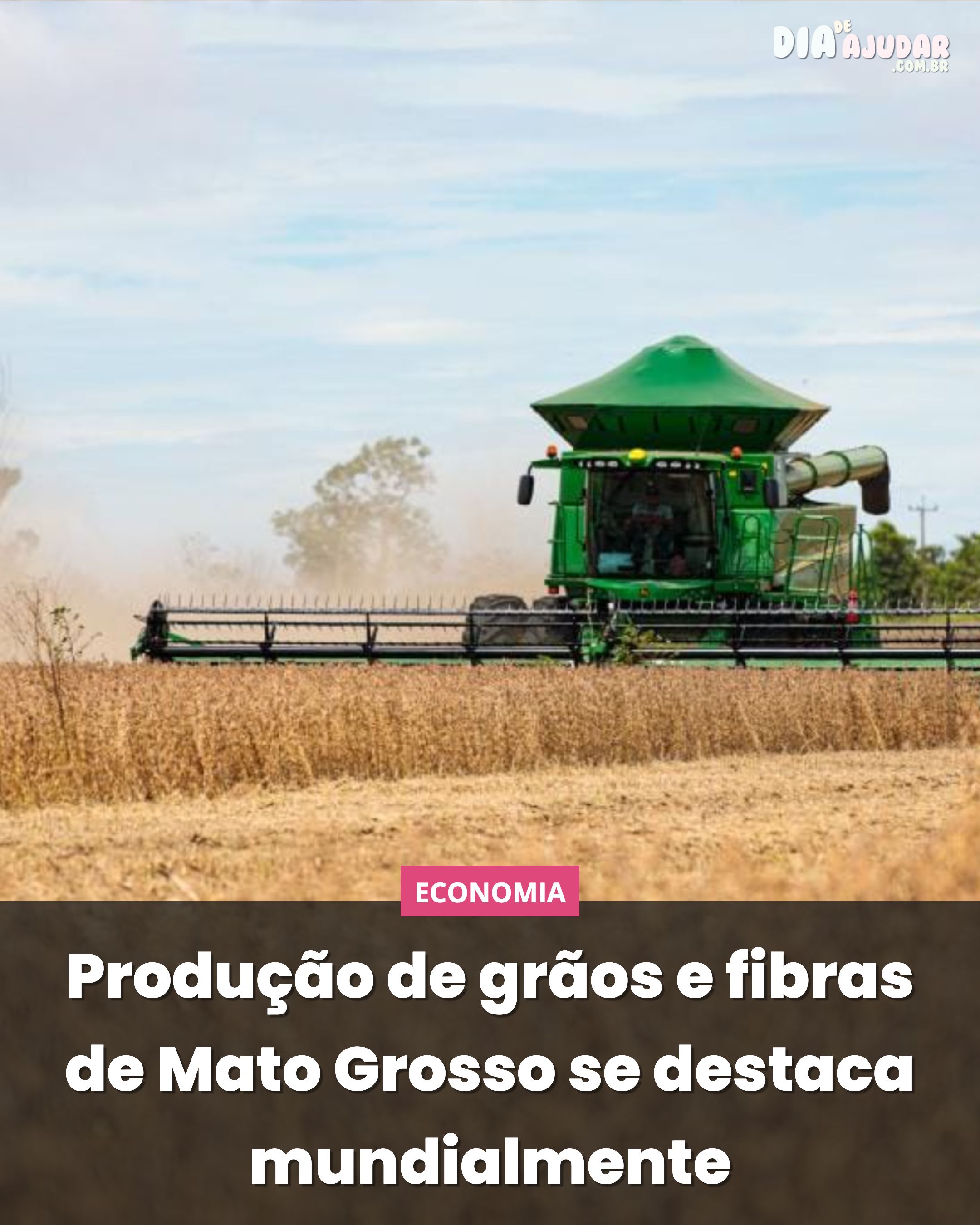 Produção de grãos e fibras de Mato Grosso se destaca mundialmente