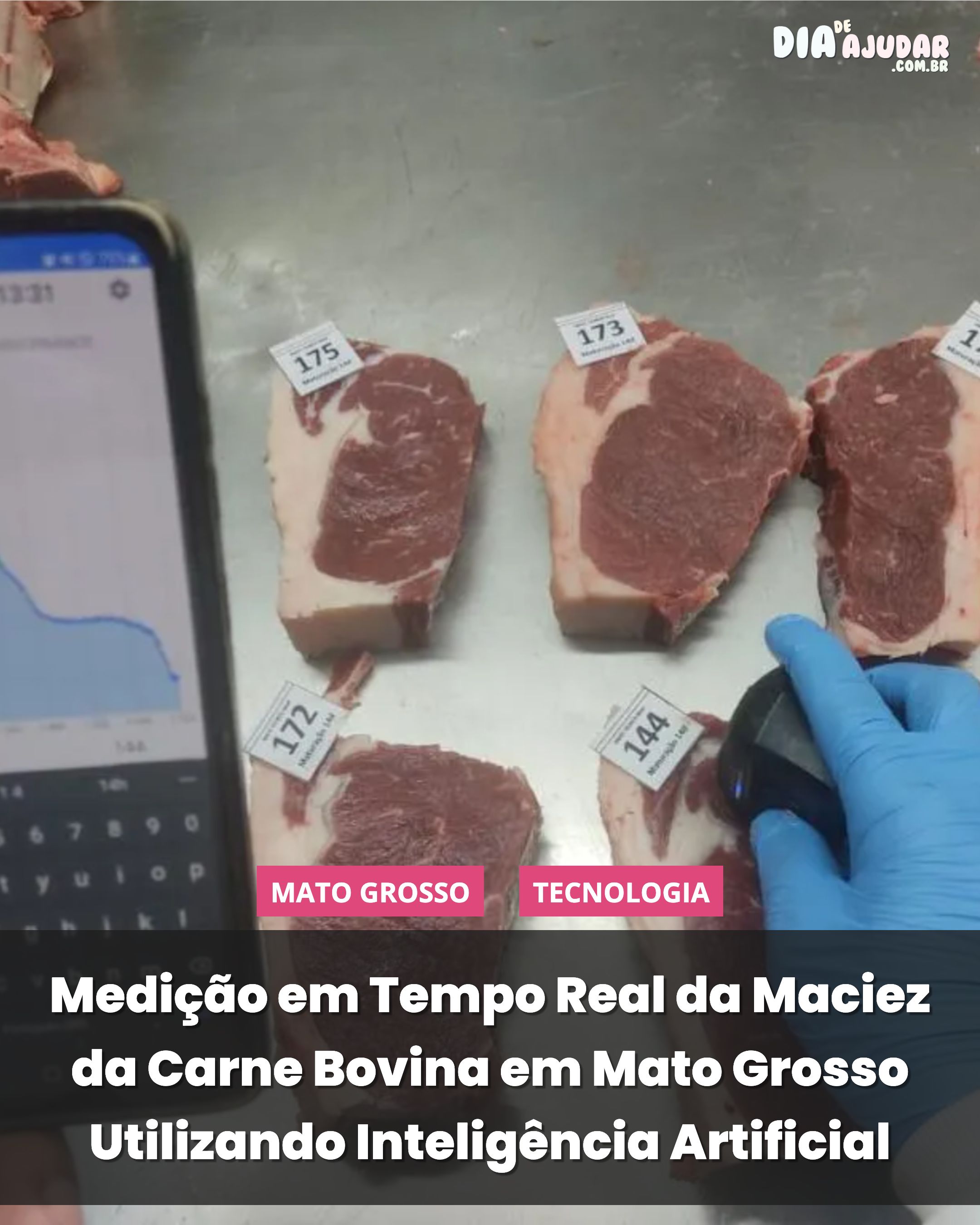 Medição em Tempo Real da Maciez da Carne Bovina em Mato Grosso Utilizando Inteligência Artificial