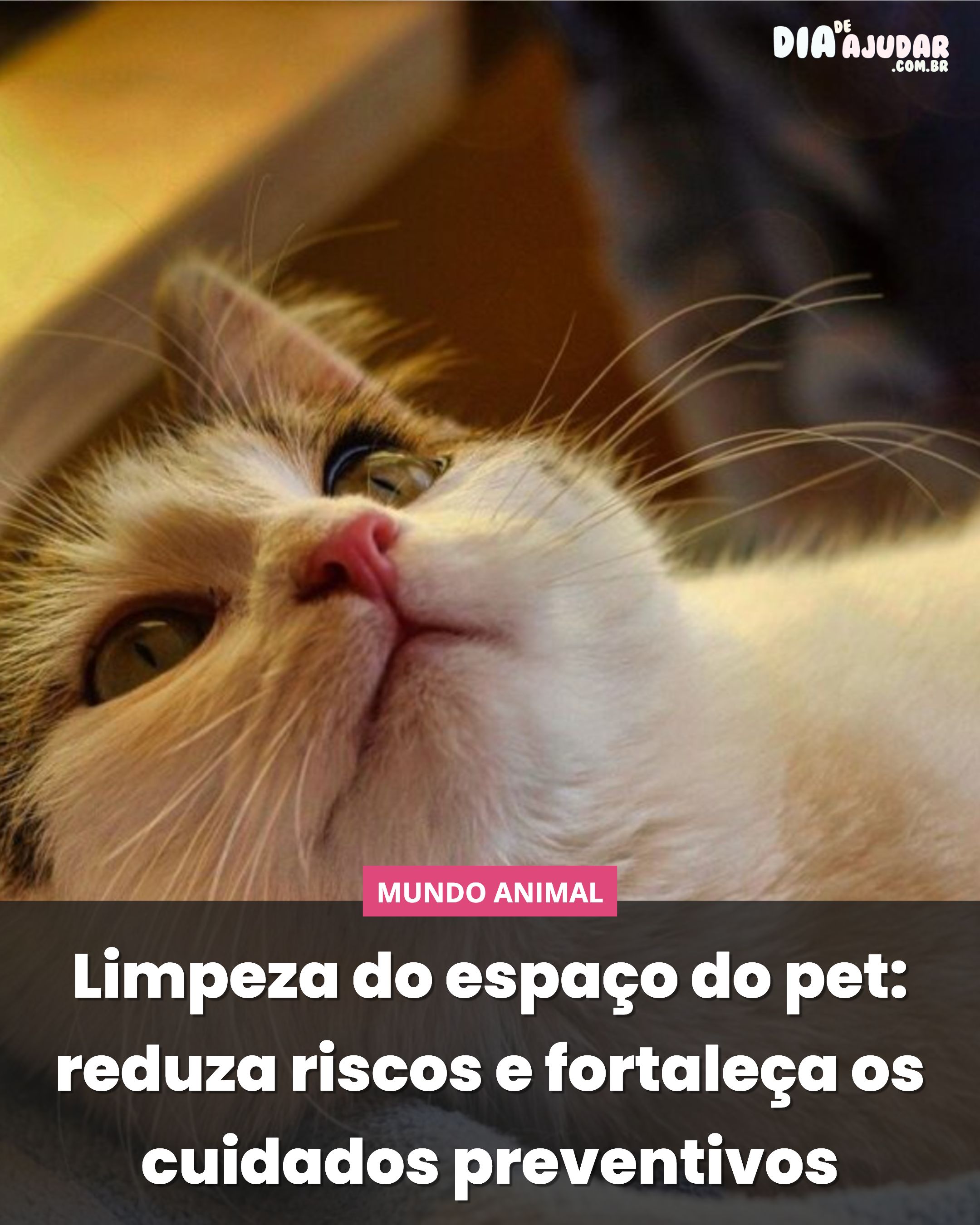 Limpeza do espaço do pet: reduza riscos e fortaleça os cuidados preventivos