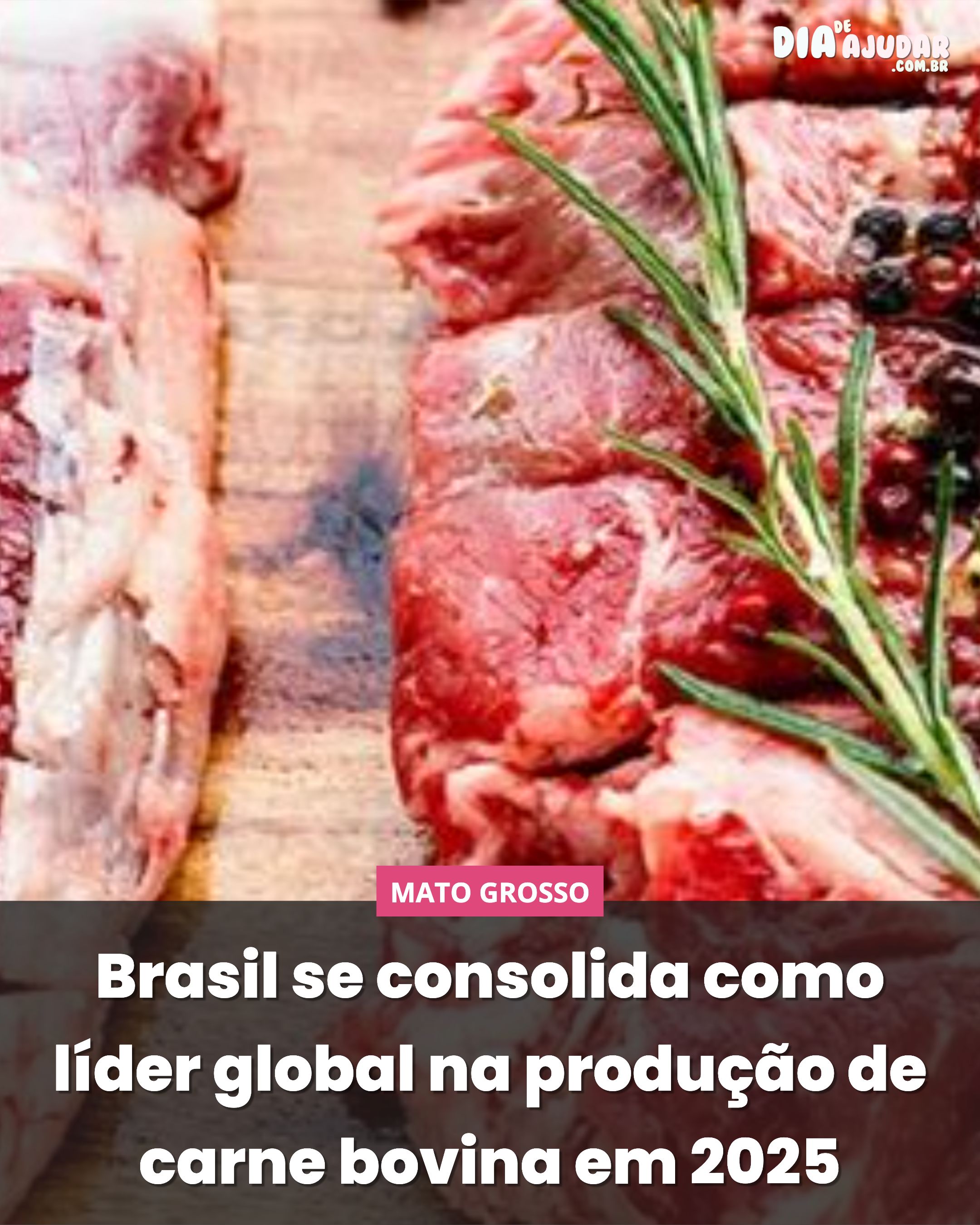 Brasil se consolida como líder global na produção de carne bovina em 2025