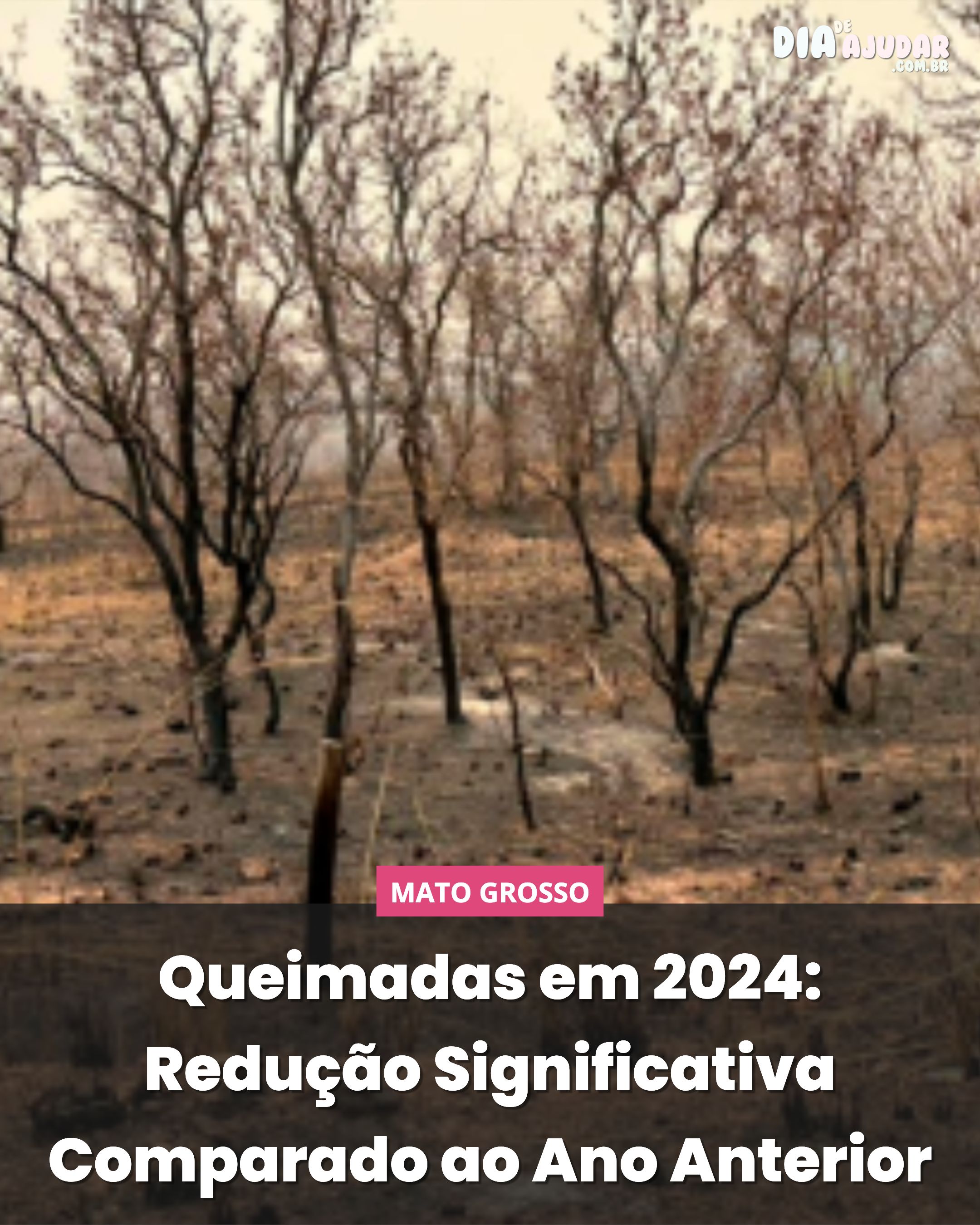 Queimadas em 2024: Redução Significativa Comparado ao Ano Anterior